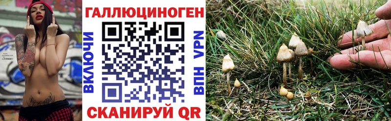 кракен зеркало Горячеводский Псилоцибиновые грибы Magic Shrooms